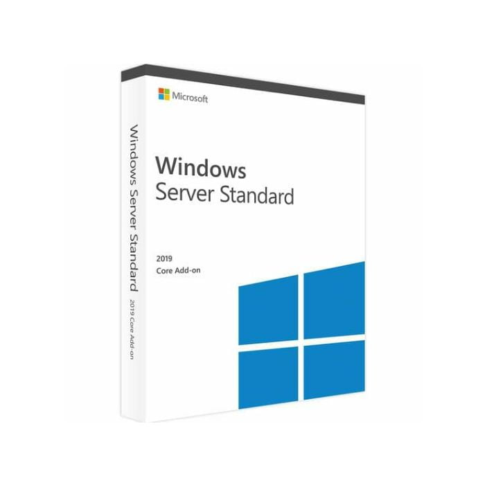 Windows Server Standard 2019 OEM
